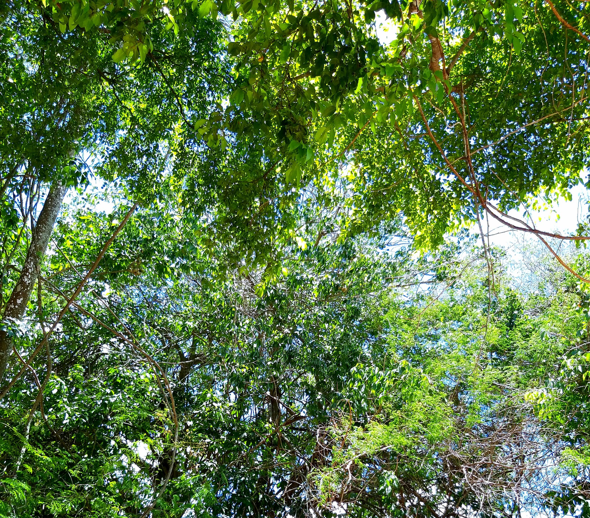 Caruaru — Pernambuco